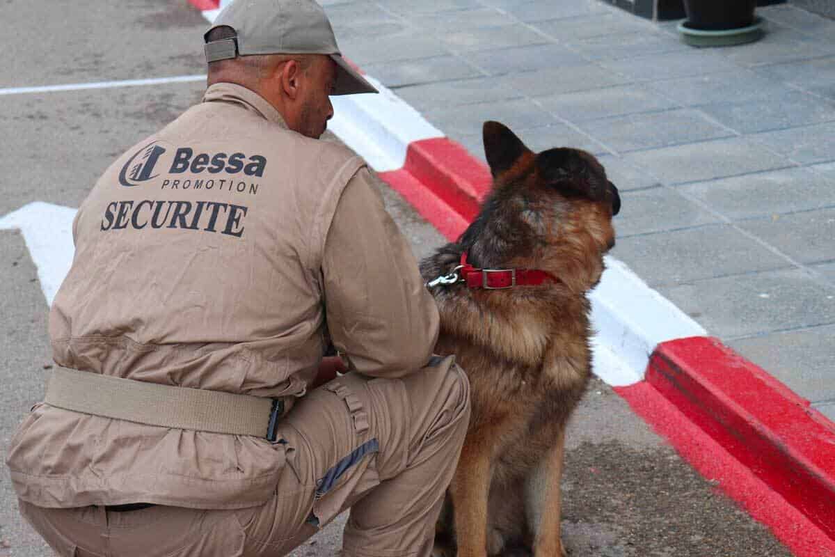 Brigade canine pour assurer la securite au niveau des residences bessa promotion immobiliere en algerie Brigade canine pour assurer la securite au niveau des residences bessa promotion immobiliere en algerie